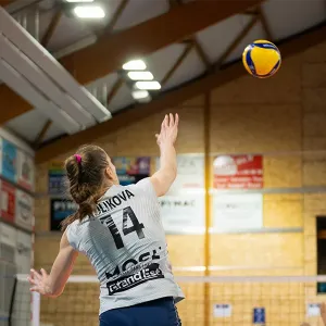 Tatiana Kulikova. 2023-2024 PAVVB - TFOC